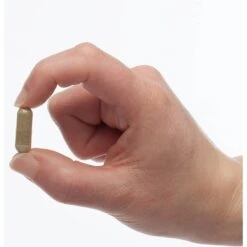 PetAlive Digestive Support Dog & Cat Supplement, 60 Count -Pet Wellness 191103 PT2. AC SS1800 V1628728892