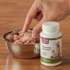 PetAlive Pancreas Booster Dog & Cat Supplement, 60 Count 6 PetAlive Pancreas Booster Dog & Cat Supplement, 60 Count -Pet Wellness 191123 PT2. AC SS1800 V1565736153