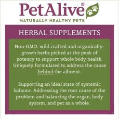 PetAlive Pancreas Booster Dog & Cat Supplement, 60 Count 7 PetAlive Pancreas Booster Dog & Cat Supplement, 60 Count -Pet Wellness 191123 PT3. AC SS1800 V1565736179