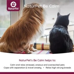 NaturPet Be Calm Pet Supplement -Pet Wellness 191460 PT2. AC SS1800 V1568238755
