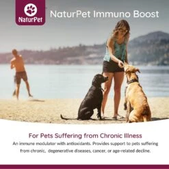 NaturPet Immuno Boost Pet Supplement -Pet Wellness 191470 PT4. AC SS1800 V1568239386
