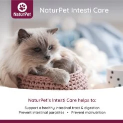 Arrowleaf Pet Intesti Care Pet Supplement -Pet Wellness 191472 PT2. AC SS1800 V1568238786
