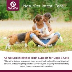 Arrowleaf Pet Intesti Care Pet Supplement -Pet Wellness 191472 PT4. AC SS1800 V1568238761