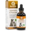 NaturPet Ligament & Muscles Pet Supplement