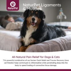 NaturPet Ligament & Muscles Pet Supplement -Pet Wellness 191476 PT4. AC SS1800 V1568238765