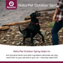 NaturPet Outdoor Spray Dog Supplement -Pet Wellness 191482 PT2. AC SS1800 V1568239333