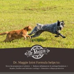Dr. Maggie Joint Formula Pet Supplement -Pet Wellness 191494 PT2. AC SS1800 V1568239101