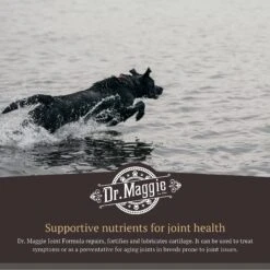 Dr. Maggie Joint Formula Pet Supplement -Pet Wellness 191494 pt4. AC SS1800 V1568239019