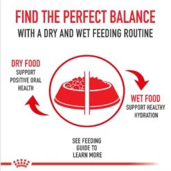 Royal Canin Canine Care Nutrition Sensitive Skin Care Loaf In Sauce Canned Dog Food, 13.5-oz, Case Of 12 -Pet Wellness 191979 PT5. AC SS1800 V1696538542