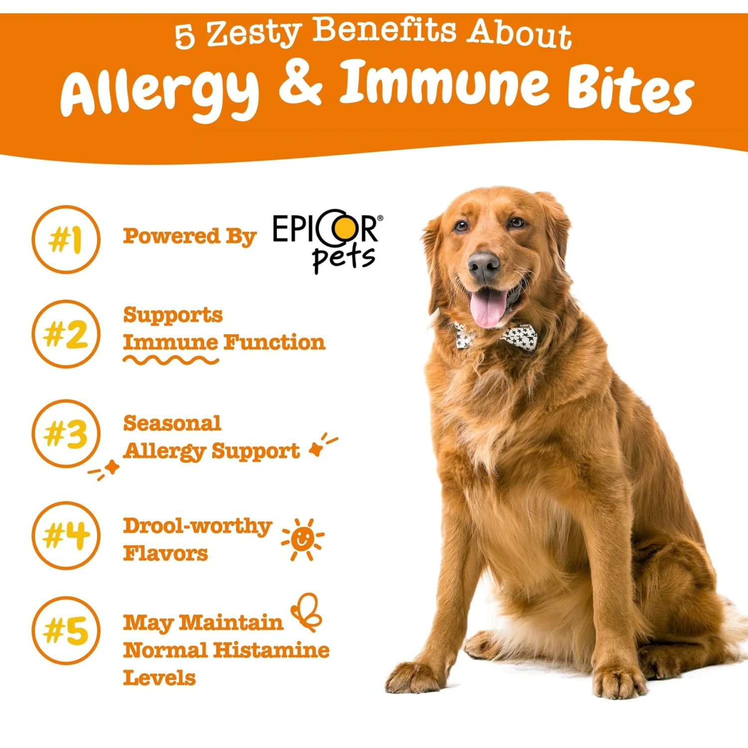 Zesty Paws Allergy & Immune Bites Salmon Flavored Soft Chews Allergies, Immune, & Gut Support Supplement For Dogs 2 Zesty Paws Allergy & Immune Bites Salmon Flavored Soft Chews Allergies, Immune, & Gut Support Supplement For Dogs - Image 2