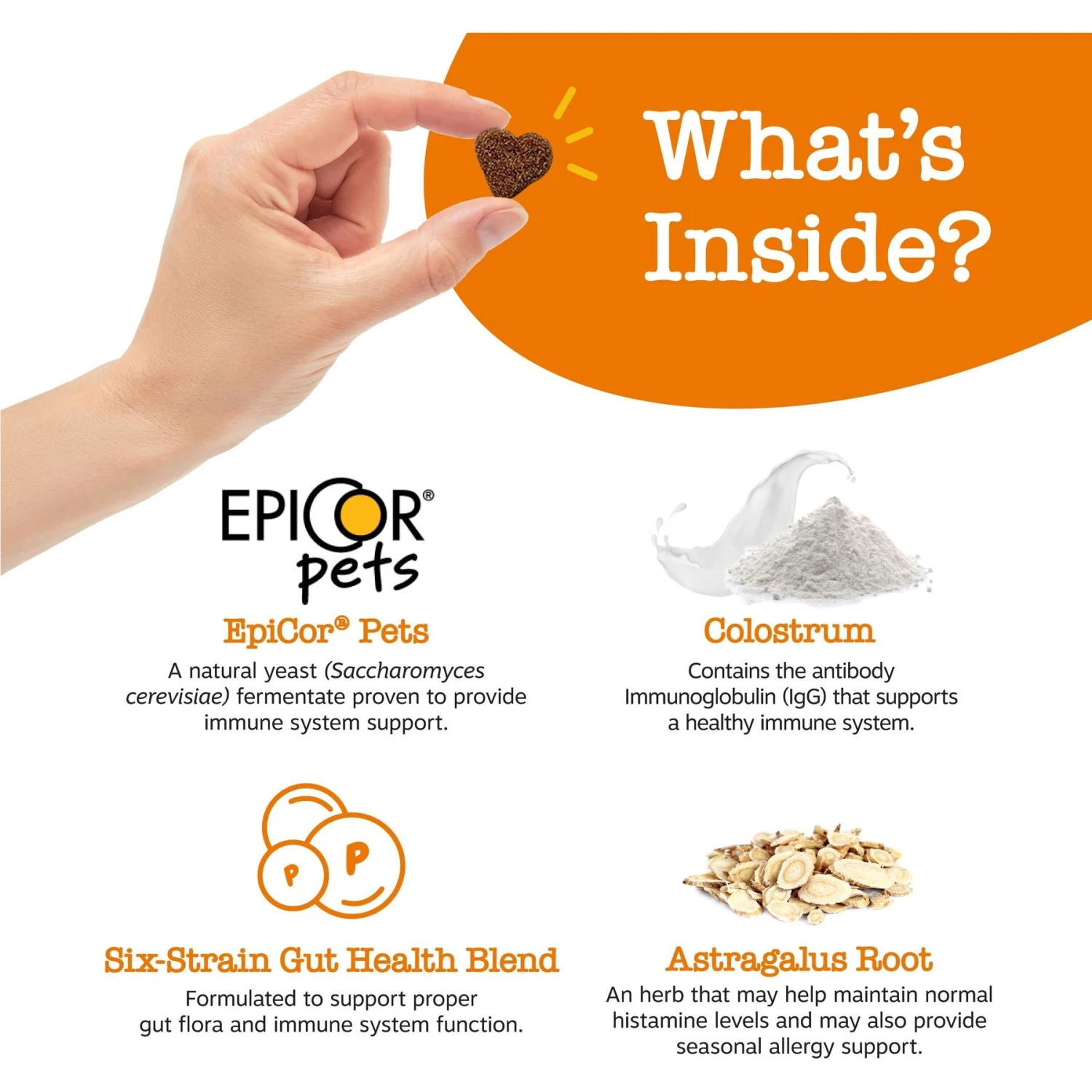 Zesty Paws Allergy & Immune Bites Salmon Flavored Soft Chews Allergies, Immune, & Gut Support Supplement For Dogs 4 Zesty Paws Allergy & Immune Bites Salmon Flavored Soft Chews Allergies, Immune, & Gut Support Supplement For Dogs - Image 4