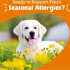 Zesty Paws Allergy & Immune Bites Salmon Flavored Soft Chews Allergies, Immune, & Gut Support Supplement For Dogs 13 Zesty Paws Allergy & Immune Bites Salmon Flavored Soft Chews Allergies, Immune, & Gut Support Supplement For Dogs -Pet Wellness 193014 PT4. AC SS1800 V1700859378