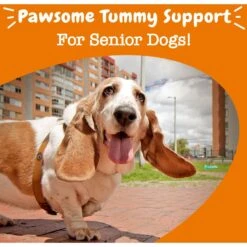 Zesty Paws Advanced Probiotic Bites Chicken Flavored Soft Chews Digestive Supplement For Senior Dogs -Pet Wellness 193016 PT3. AC SS1800 V1699634653