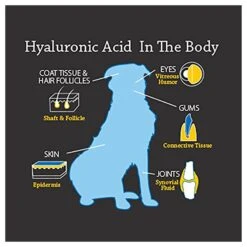 HyaFlex Hyalogic Hyaluronic Acid Hip & Joint Dog Supplement, 1-oz Bottle -Pet Wellness 193592 PT2. AC SS1800 V1566246719