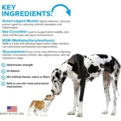 VetSmart Formulas Advanced Chewable Tablet Joint Supplement For Dogs 13 VetSmart Formulas Advanced Chewable Tablet Joint Supplement For Dogs -Pet Wellness 193692 PT5. AC SS1800 V1606802232