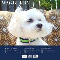 Wagberry Soothing Hot Spot Dog Spray, 8-oz Bottle -Pet Wellness 194038 PT5. AC SS1800 V1649754984