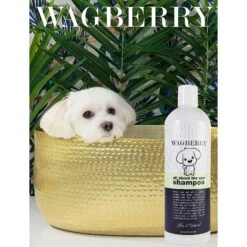 Wagberry All About The Spa Dog Shampoo, 16-oz Bottle 13 Wagberry All About The Spa Dog Shampoo, 16-oz Bottle -Pet Wellness 194048 PT4. AC SS1800 V1649753794