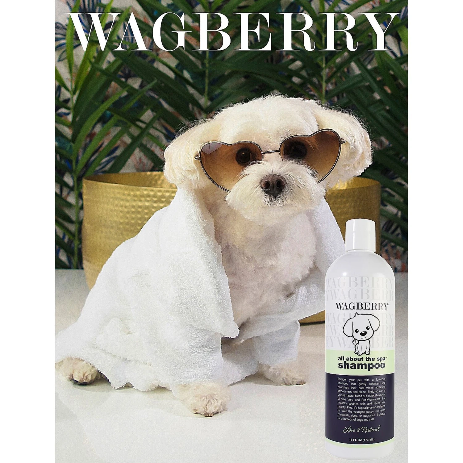 Wagberry All About The Spa Dog Shampoo, 16-oz Bottle 7 Wagberry All About The Spa Dog Shampoo, 16-oz Bottle - Image 7