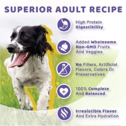 Halo Holistic Turkey & Salmon Recipe Adult Canned Dog Food -Pet Wellness 194485 PT5. AC SS1800 V1626282975