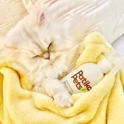 Patika Pets Smart Formula Botanical Skin & Coat Waterless Cleanser Dog Spray, 16.2-oz Bottle 10 Patika Pets Smart Formula Botanical Skin & Coat Waterless Cleanser Dog Spray, 16.2-oz Bottle -Pet Wellness 194897 PT5. AC SS1800 V1646698965