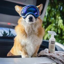 Patika Pets Smart Formula Botanical Skin & Coat Waterless Cleanser Dog Spray, 16.2-oz Bottle 12 Patika Pets Smart Formula Botanical Skin & Coat Waterless Cleanser Dog Spray, 16.2-oz Bottle -Pet Wellness 194897 PT7. AC SS1800 V1646692602