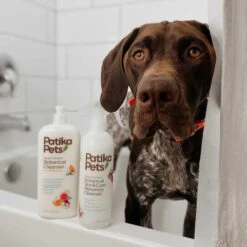 Patika Pets Smart Formula Botanical Skin & Coat Waterless Cleanser Dog Spray, 16.2-oz Bottle 13 Patika Pets Smart Formula Botanical Skin & Coat Waterless Cleanser Dog Spray, 16.2-oz Bottle -Pet Wellness 194897 PT8. AC SS1800 V1646694127