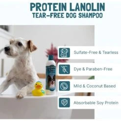 Bio-Groom Silky Dog Tear-Free Protein Lanolin Dog Shampoo 7 Bio-Groom Silky Dog Tear-Free Protein Lanolin Dog Shampoo -Pet Wellness 195476 PT2. AC SS1800 V1670433192