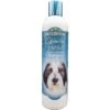 Bio-Groom Groom 'N Fresh Odor Eliminating Dog Shampoo