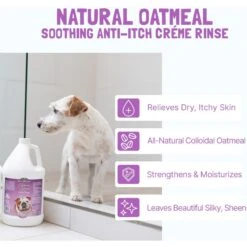 Bio-Groom Natural Oatmeal Soothing Anti-Itch Dog Cream Rinse, 12-oz Bottle 6 Bio-Groom Natural Oatmeal Soothing Anti-Itch Dog Cream Rinse, 12-oz Bottle -Pet Wellness 195557 PT2. AC SS1800 V1670433134