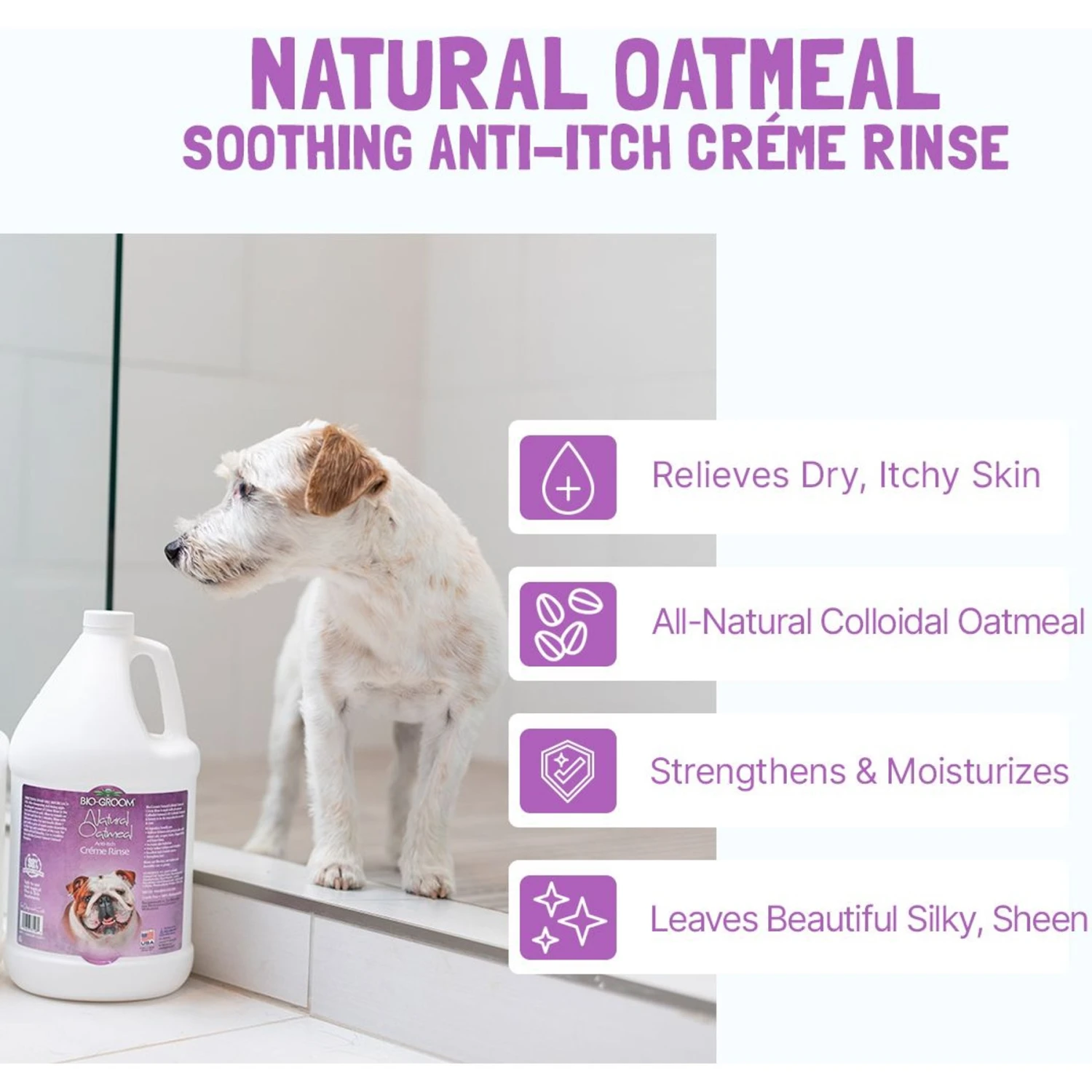 Bio-Groom Natural Oatmeal Soothing Anti-Itch Dog Cream Rinse, 12-oz Bottle 3 Bio-Groom Natural Oatmeal Soothing Anti-Itch Dog Cream Rinse, 12-oz Bottle - Image 3