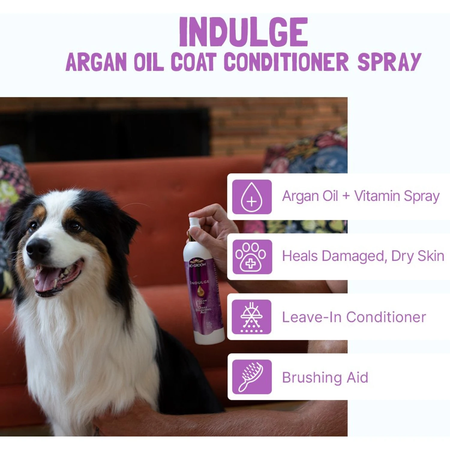 Bio-Groom Indulge With Argon Oil Daily Brushing Aid Dog Spray, 12-oz Bottle 3 Bio-Groom Indulge With Argon Oil Daily Brushing Aid Dog Spray, 12-oz Bottle - Image 3