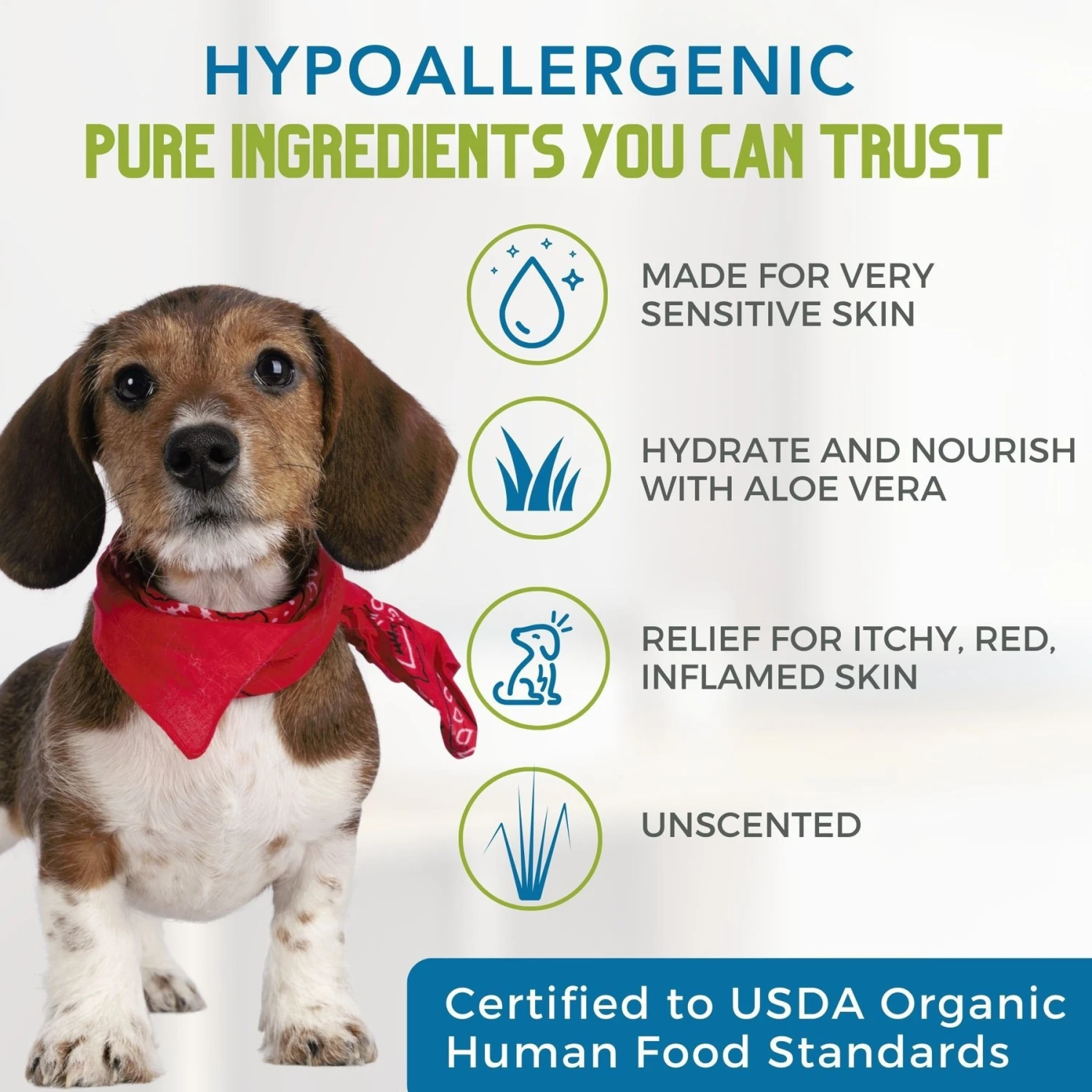 4-Legger Organic Hypo-Allergenic Unscented Aloe Dog Shampoo, 16-oz Bottle 2 4-Legger Organic Hypo-Allergenic Unscented Aloe Dog Shampoo, 16-oz Bottle - Image 2