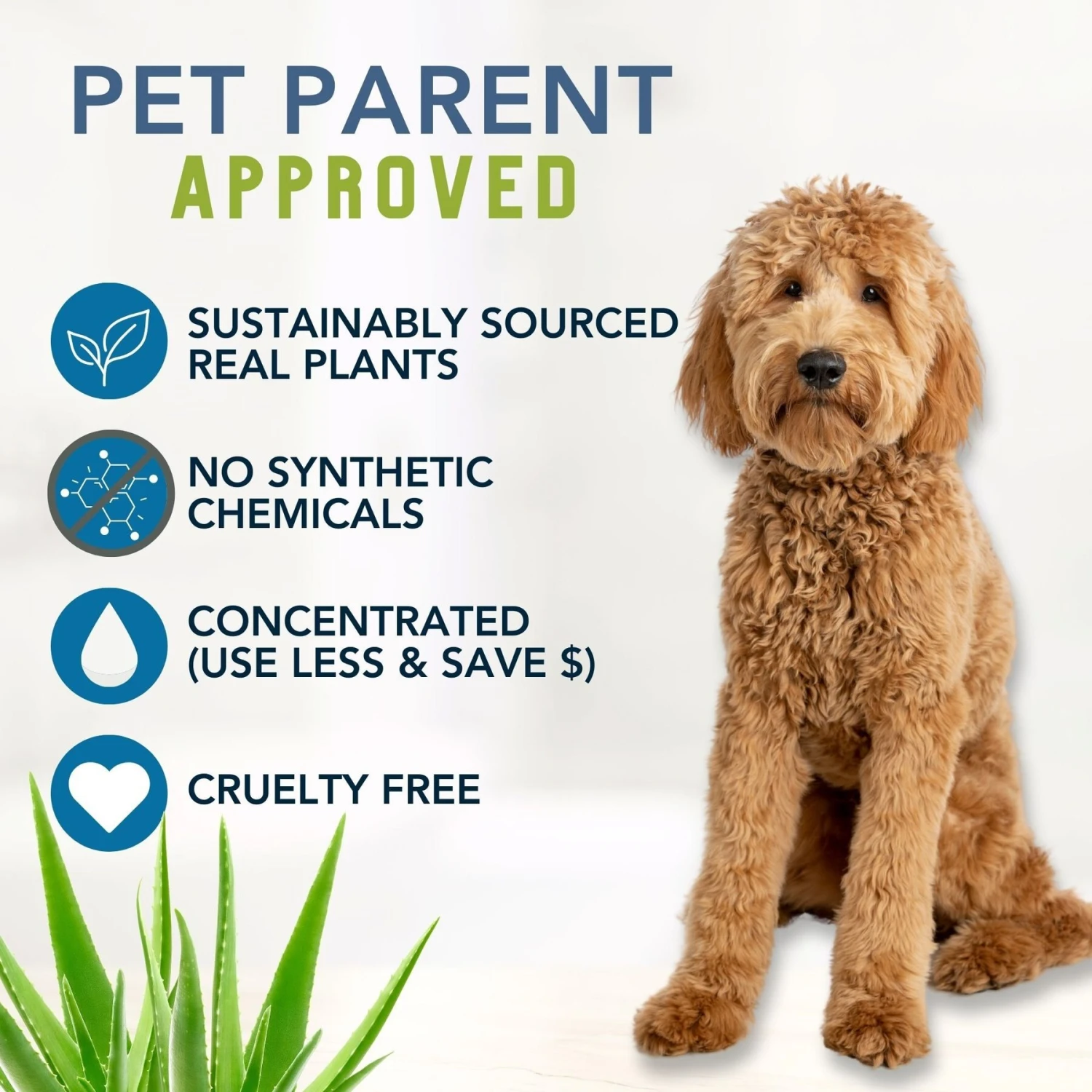 4-Legger Organic Hypo-Allergenic Unscented Aloe Dog Shampoo, 16-oz Bottle 5 4-Legger Organic Hypo-Allergenic Unscented Aloe Dog Shampoo, 16-oz Bottle - Image 5