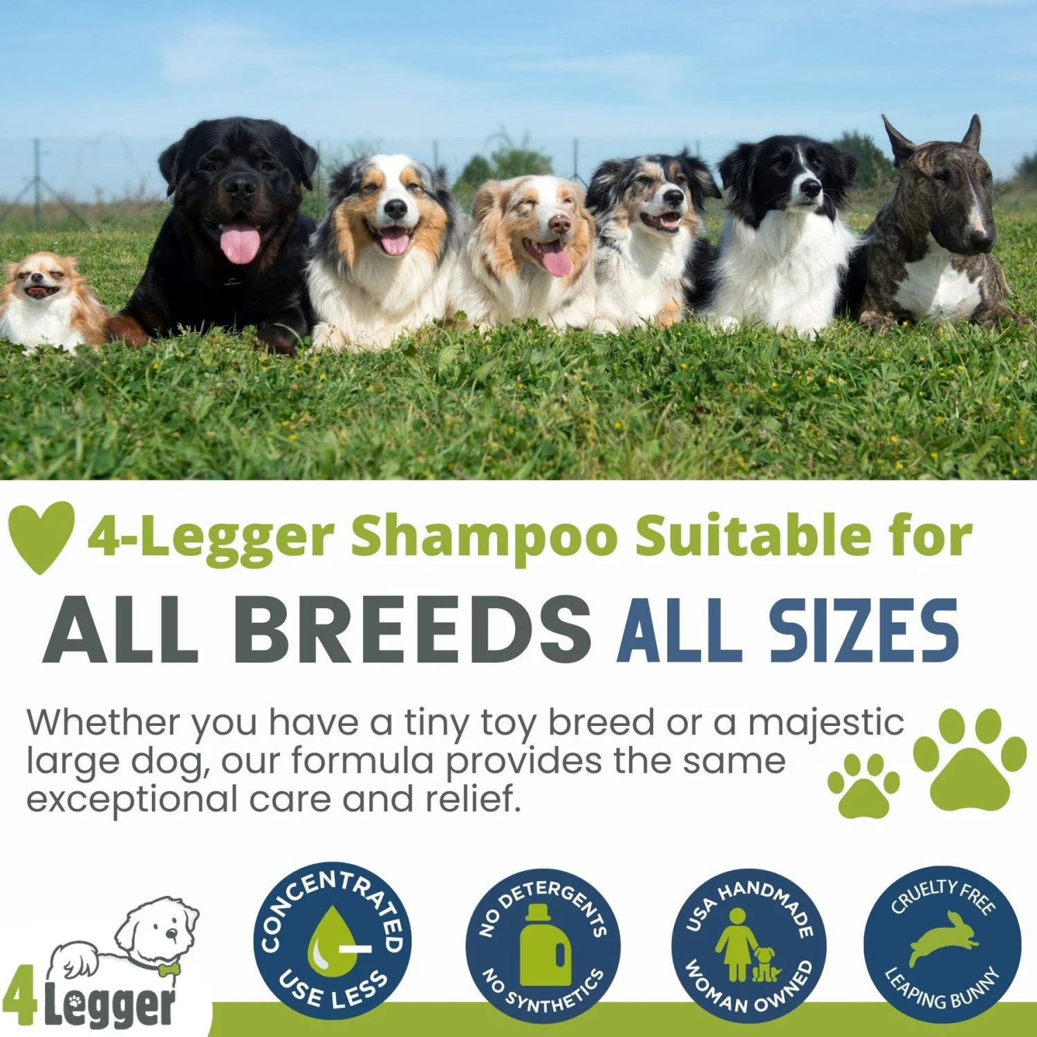 4-Legger Organic Hypo-Allergenic Unscented Aloe Dog Shampoo, 16-oz Bottle 7 4-Legger Organic Hypo-Allergenic Unscented Aloe Dog Shampoo, 16-oz Bottle - Image 7