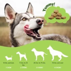 PointPet Hemp Hip & Joint Dog Supplement, 90 Count 14 PointPet Hemp Hip & Joint Dog Supplement, 90 Count -Pet Wellness 198415 PT5. AC SS1800 V1673379221