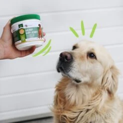 PointPet Hemp Hip & Joint Dog Supplement, 90 Count 17 PointPet Hemp Hip & Joint Dog Supplement, 90 Count -Pet Wellness 198415 PT8. AC SS1800 V1673379025