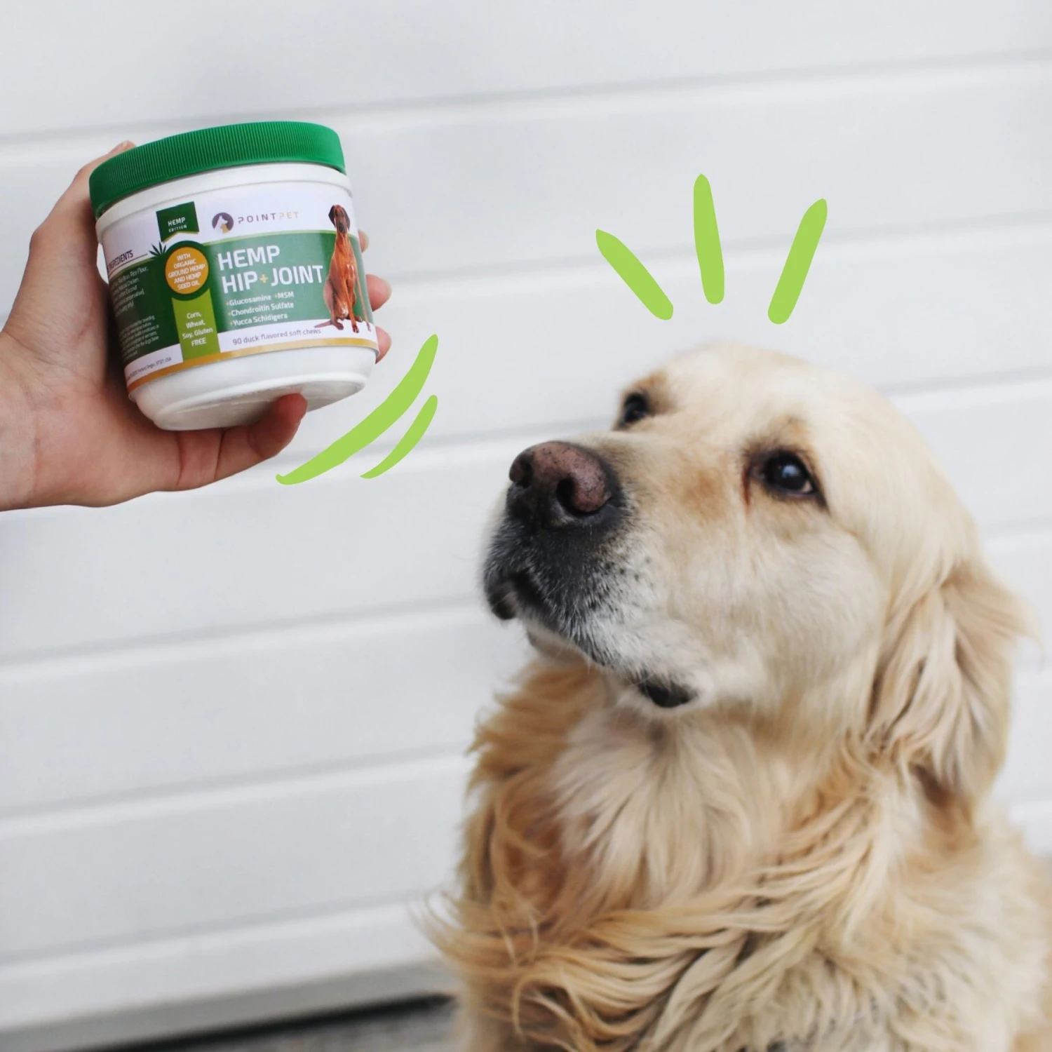 PointPet Hemp Hip & Joint Dog Supplement, 90 Count 9 PointPet Hemp Hip & Joint Dog Supplement, 90 Count - Image 9