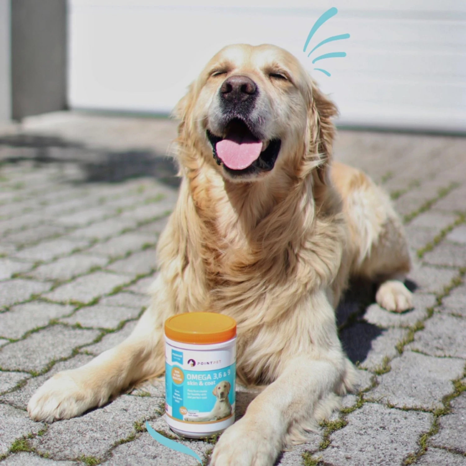 PointPet Omega 3, 6 & 9 Skin & Coat Dog Supplement, 120 Count 2 PointPet Omega 3, 6 & 9 Skin & Coat Dog Supplement, 120 Count - Image 2