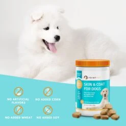 PointPet Omega 3, 6 & 9 Skin & Coat Dog Supplement, 120 Count 11 PointPet Omega 3, 6 & 9 Skin & Coat Dog Supplement, 120 Count -Pet Wellness 198419 PT2. AC SS1800 V1669394247