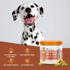 PointPet Advanced Hip & Joint Duck Flavor With Glucosamine, MSM & Chondroitin Senior Dog Supplement, 90 Count 11 PointPet Advanced Hip & Joint Duck Flavor With Glucosamine, MSM & Chondroitin Senior Dog Supplement, 90 Count -Pet Wellness 198424 PT2. AC SS1800 V1669392860
