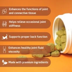 PointPet Advanced Hip & Joint Duck Flavor With Glucosamine, MSM & Chondroitin Senior Dog Supplement, 90 Count 12 PointPet Advanced Hip & Joint Duck Flavor With Glucosamine, MSM & Chondroitin Senior Dog Supplement, 90 Count -Pet Wellness 198424 PT3. AC SS1800 V1669396105