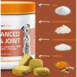 PointPet Advanced Hip & Joint Duck Flavor With Glucosamine, MSM & Chondroitin Senior Dog Supplement, 90 Count 13 PointPet Advanced Hip & Joint Duck Flavor With Glucosamine, MSM & Chondroitin Senior Dog Supplement, 90 Count -Pet Wellness 198424 PT4. AC SS1800 V1669394310