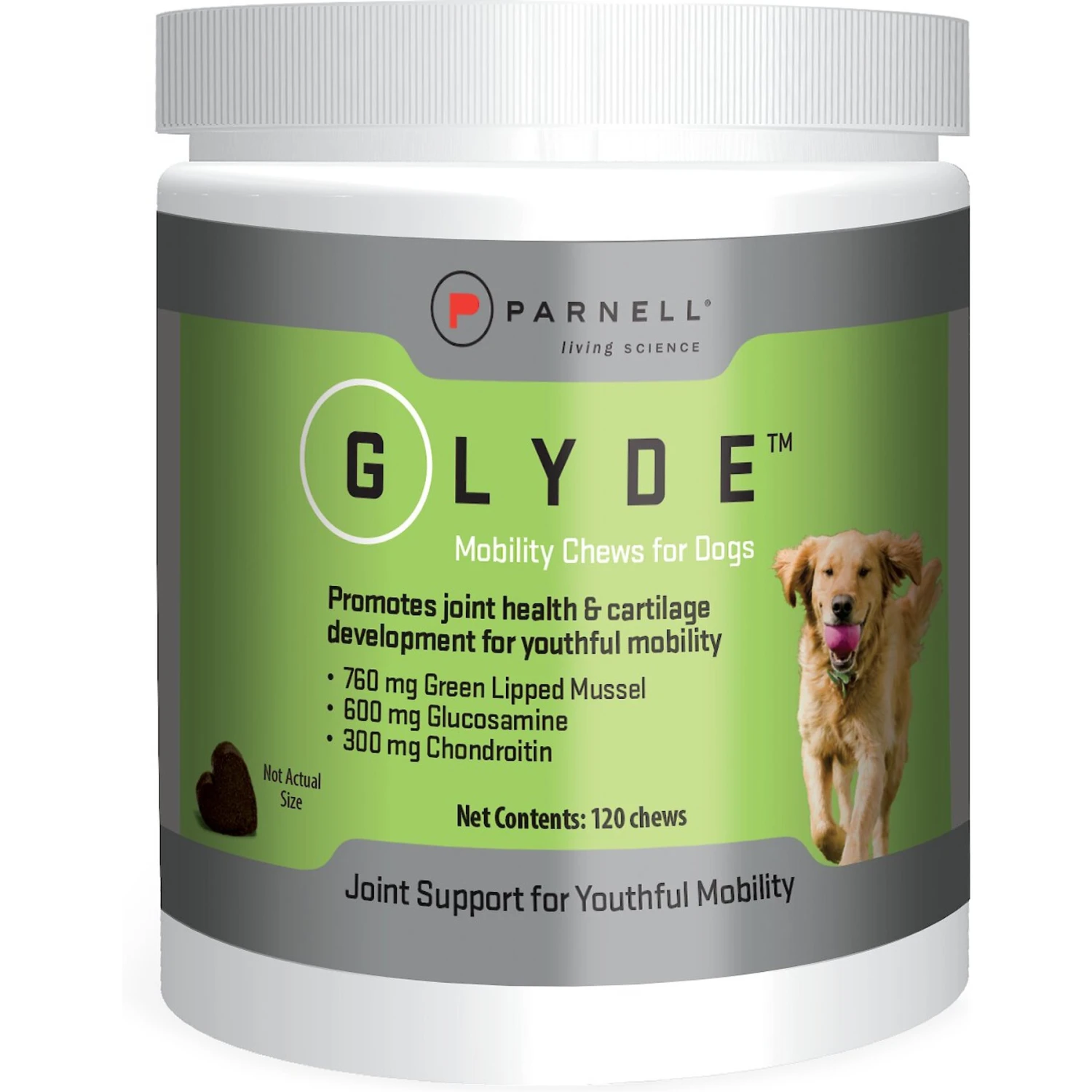 Glyde Mobility Chews Dog Supplement 2 Glyde Mobility Chews Dog Supplement - Image 2
