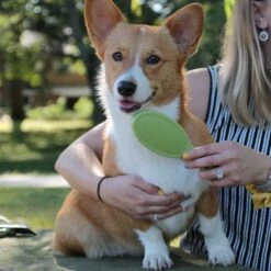 Safari Bristle Dog Brush -Pet Wellness 199925 PT2. AC SS1800 V1677958271