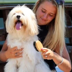 Safari Bamboo Bristle Dog Brush -Pet Wellness 199928 PT2. AC SS1800 V1678112628