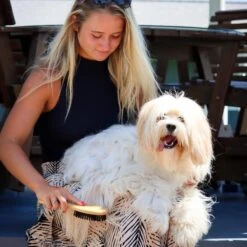 Safari Bamboo Bristle Dog Brush -Pet Wellness 199928 PT3. AC SS1800 V1678112543