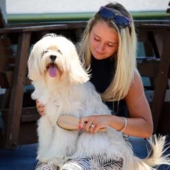 Safari Bamboo Bristle Dog Brush -Pet Wellness 199928 PT5. AC SS1800 V1677957892