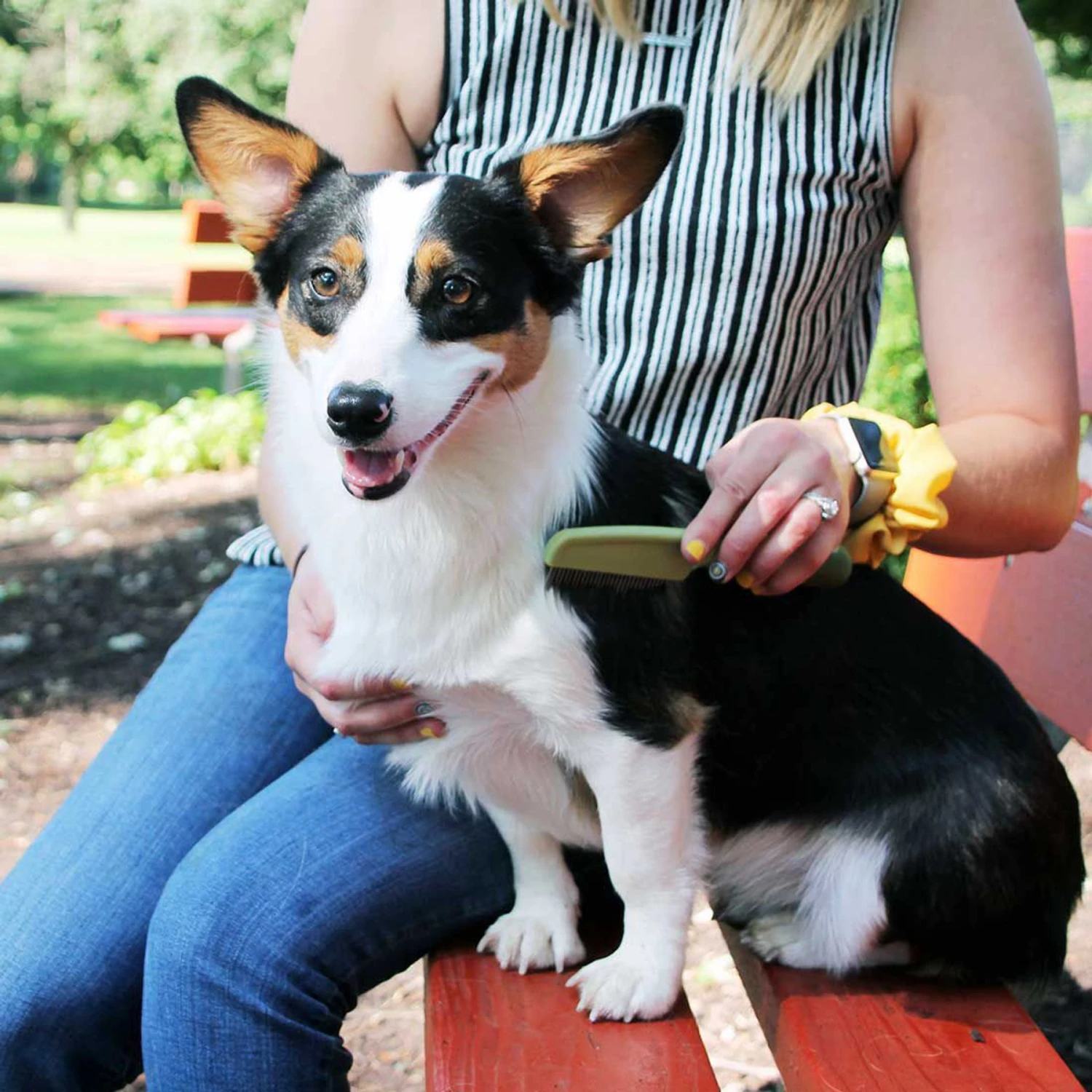 Safari Medium Dog Comb With Rotating Teeth 3 Safari Medium Dog Comb With Rotating Teeth - Image 3
