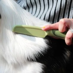 Safari Medium Dog Comb With Rotating Teeth 8 Safari Medium Dog Comb With Rotating Teeth -Pet Wellness 199935 PT3. AC SS1800 V1678112547