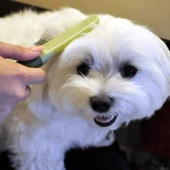 Safari Medium Dog Comb With Rotating Teeth 9 Safari Medium Dog Comb With Rotating Teeth -Pet Wellness 199935 PT4. AC SS1800 V1677955675